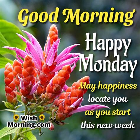 good morning happy monday images|free printable good morning monday.